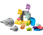 10972 - LEGO DUPLO Wilde dieren van de Zee - Afbeelding 3